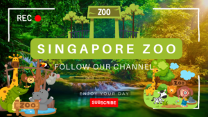 SINGAPORE ZOO II BEST PLACE FOR ANIMAL LOVERS II WILD LIFE