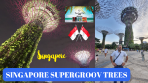 SINGAPORE SUPER TREES THE GROVE II AMAZING VIEW OF TREES